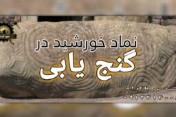 Picsart_23-08-31_11-52-46-331