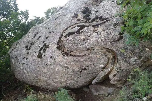 تفسیر نماد مار در گنج یابی