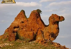 نماد شتر در گنج یابی