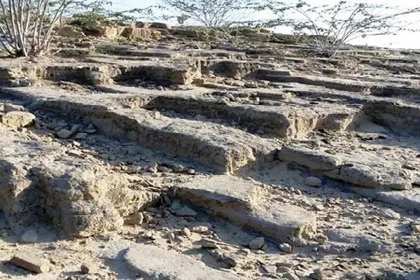شواهد تاریخی برای نشانه قبر باردار
